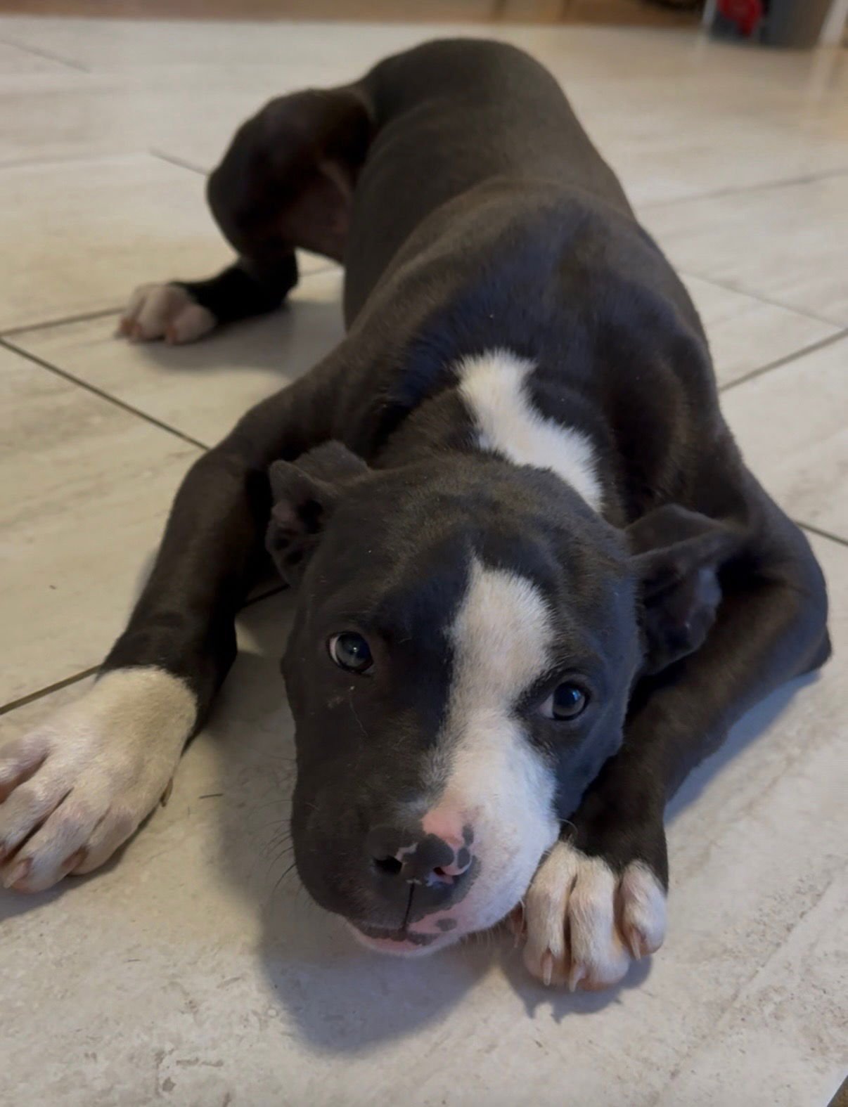 Darius Dixon - Photo 4