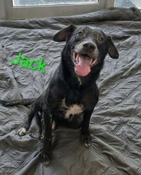 Blackjack Dixon - Photo 6