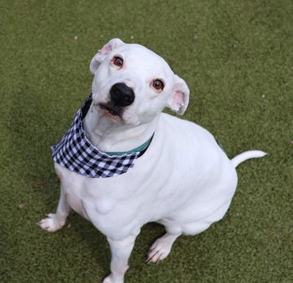 Wes Athens - Photo 3