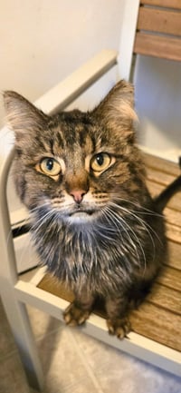 Bitsy - Photo 1