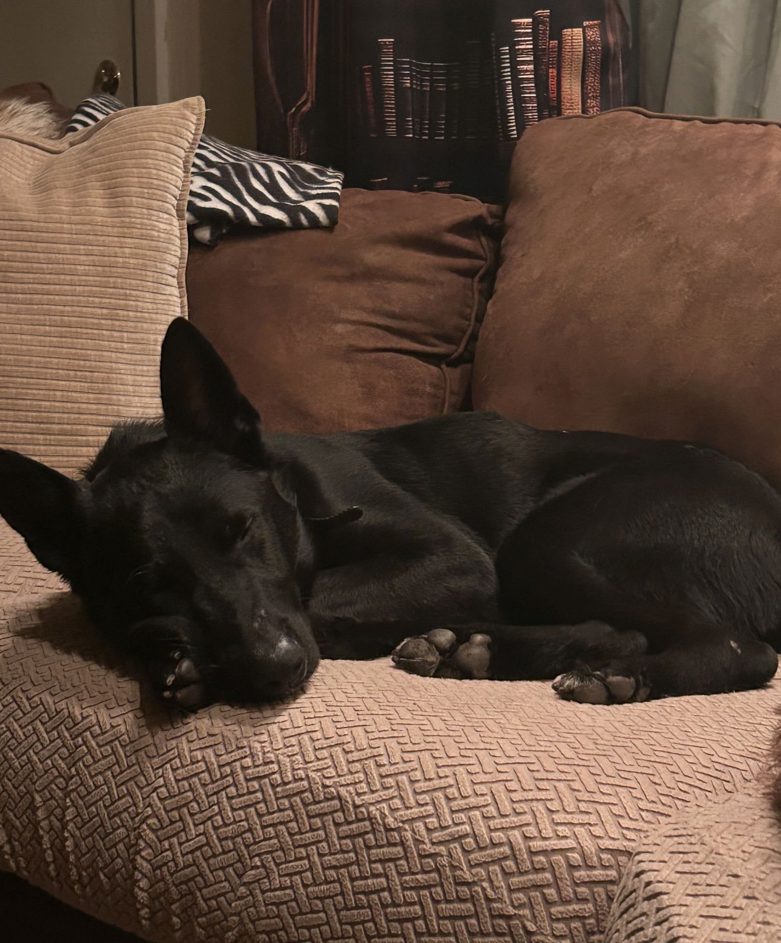 Rowdy Lonestar - Photo 4