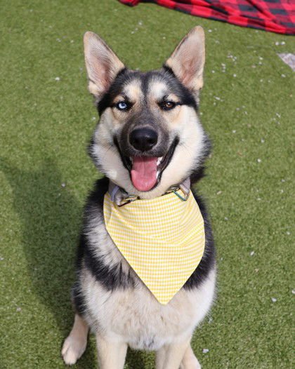 Stevie Athens - Photo 3