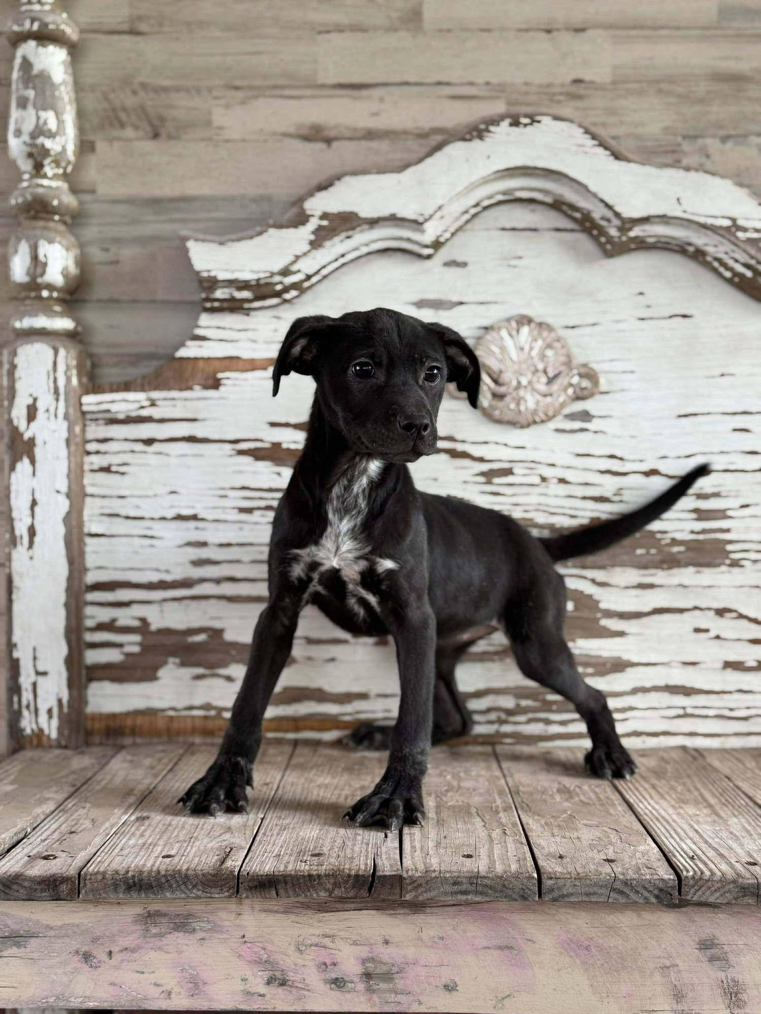 Gena Rogers - Photo 3