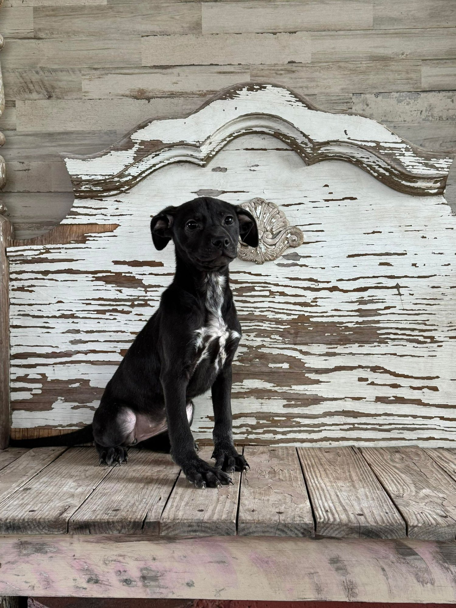 Gena Rogers - Photo 4