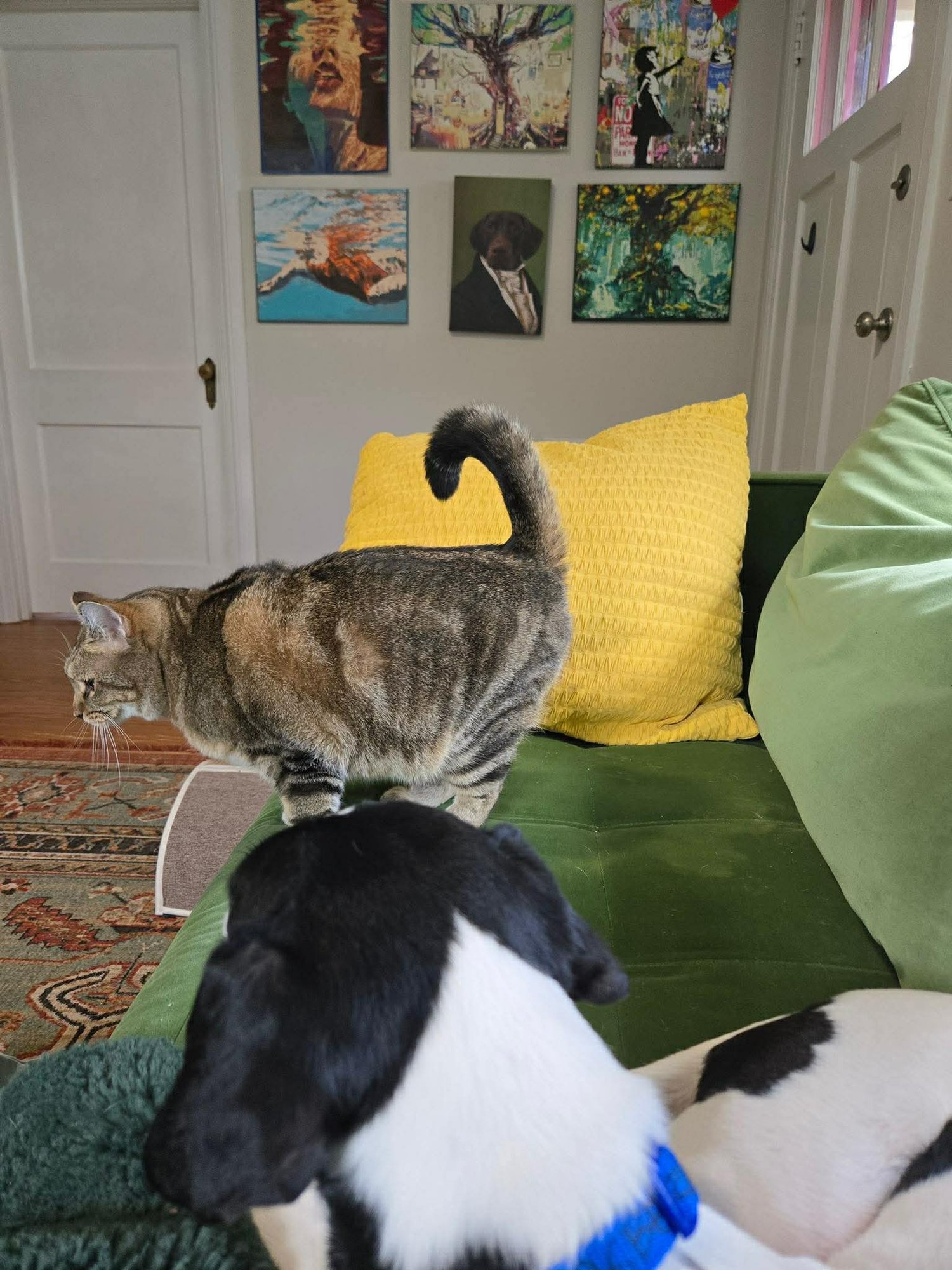 Raspberry Athens - Photo 3