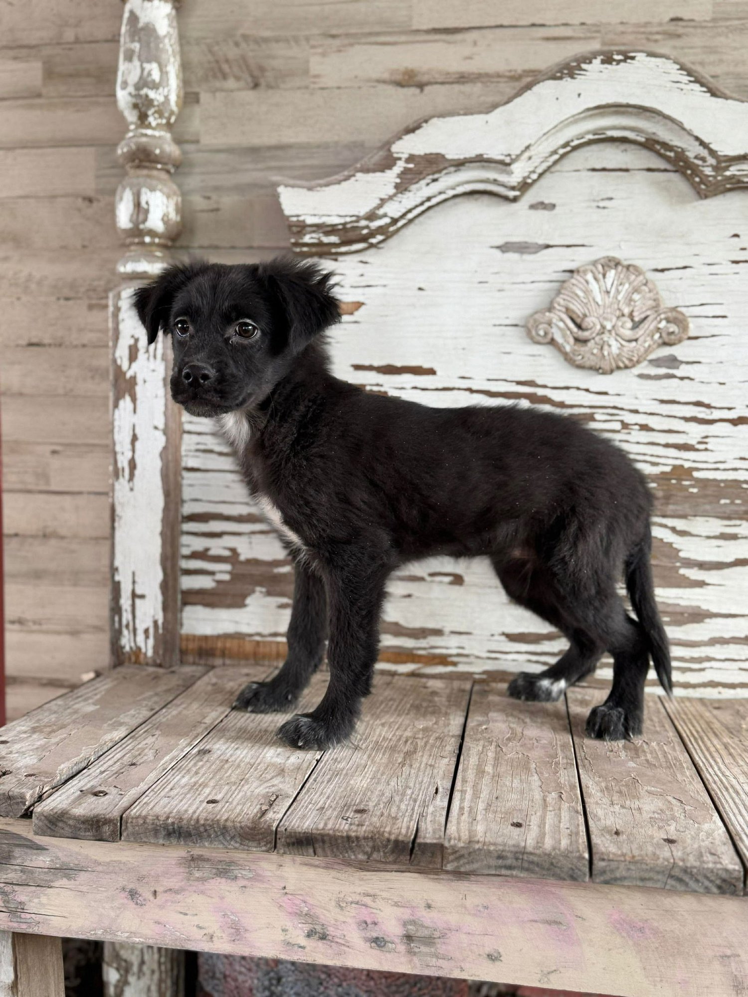 Greta Rogers - Photo 3