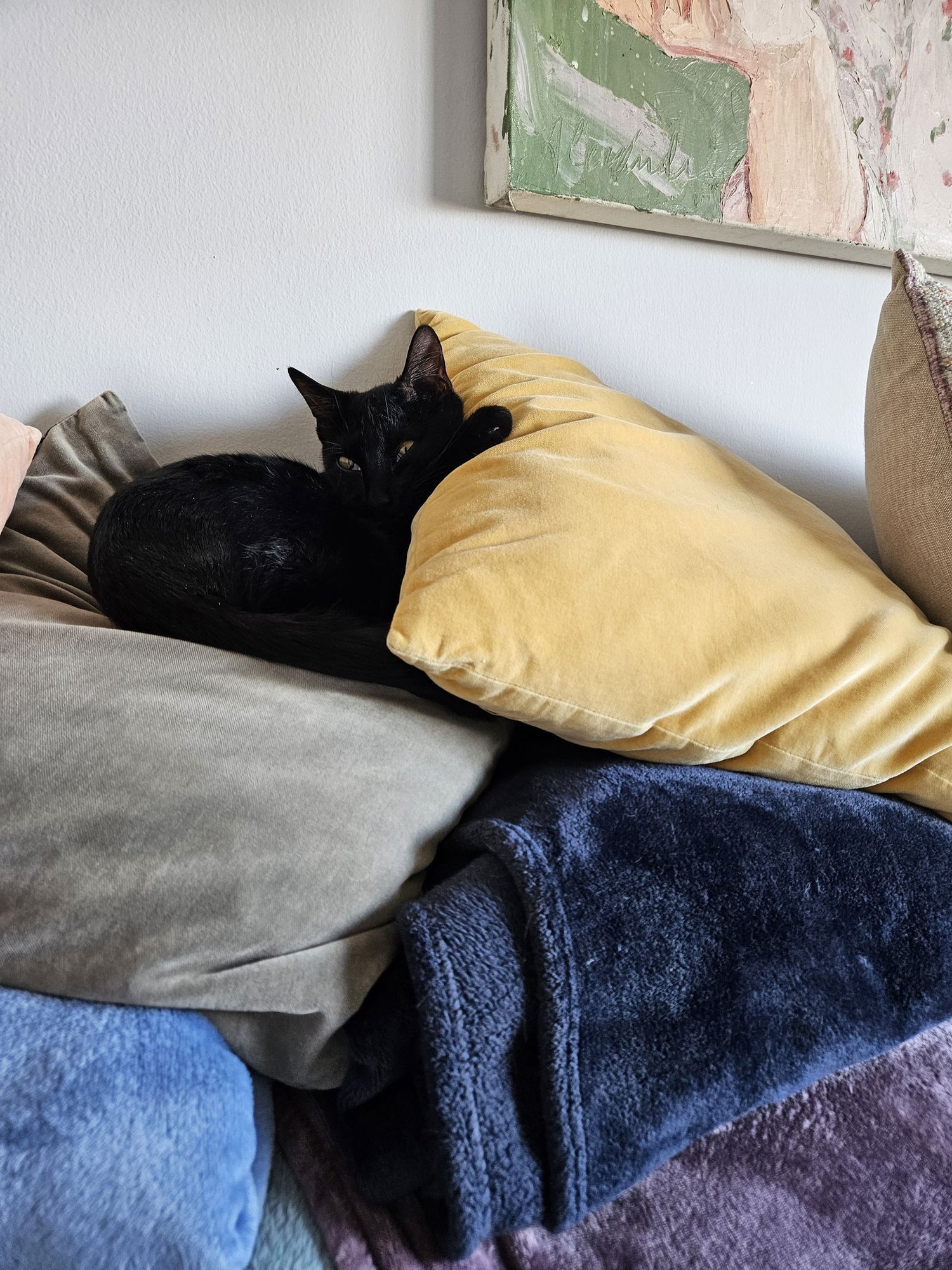 Priscilla KITTEN - Photo 6