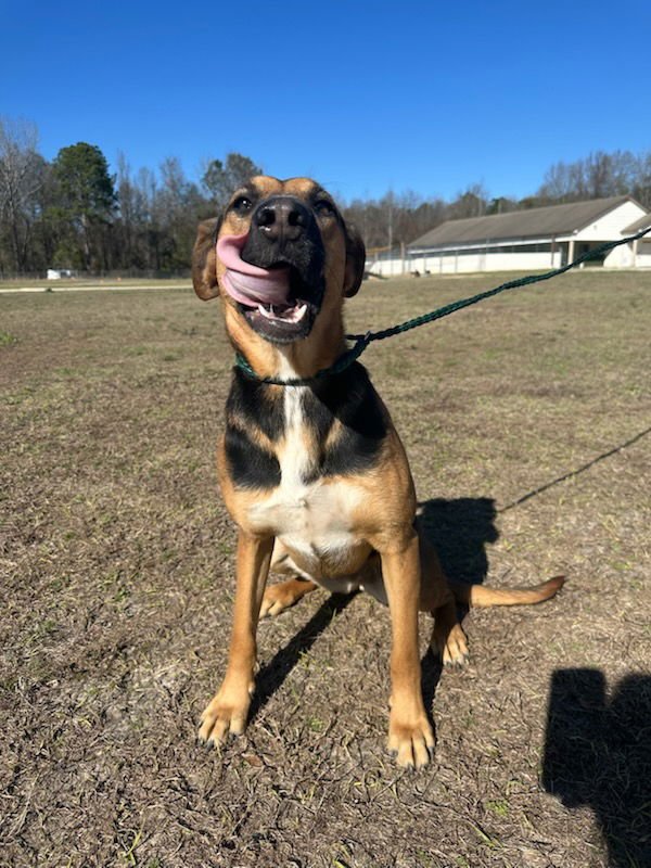 Tanzy Dixon - Photo 3