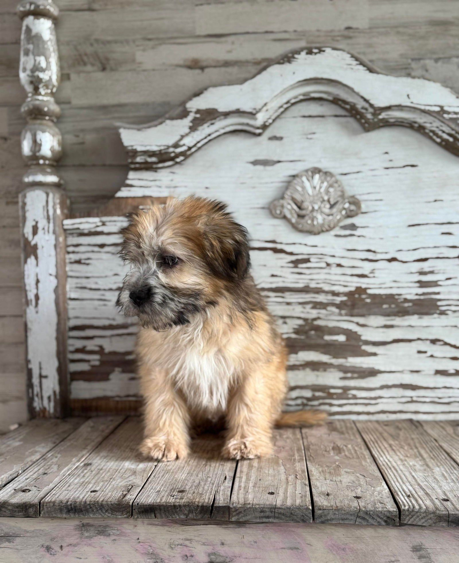 George Rogers - Photo 3