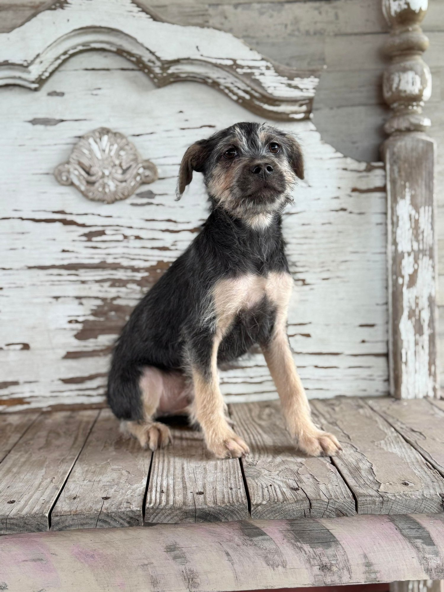 Gus Rogers - Photo 3