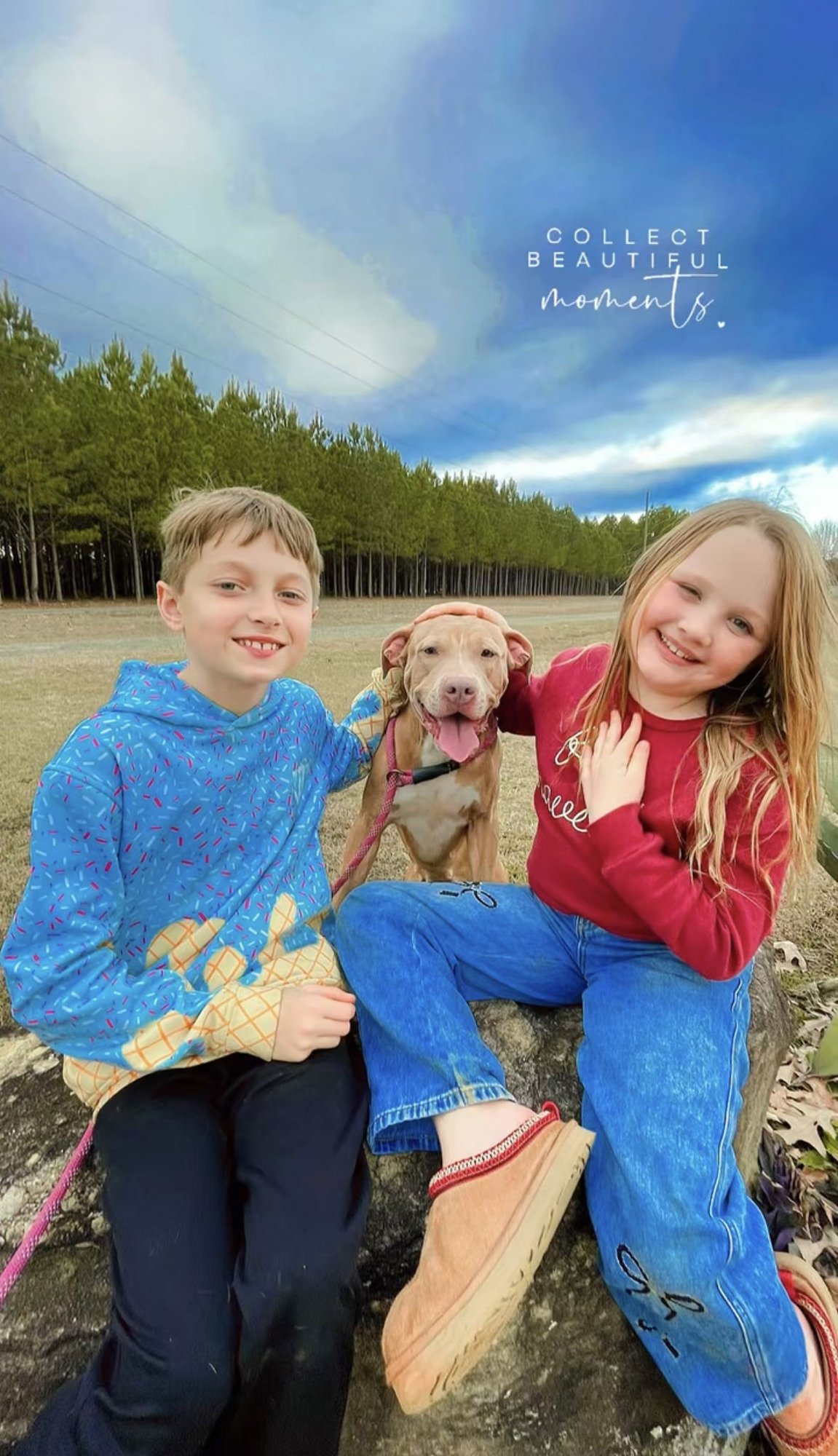 KARISSA DIXON - Pit Bull Terrier available for adoption