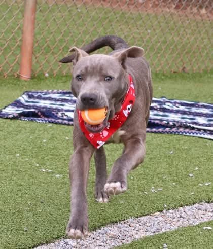 Coop Athens - Photo 3