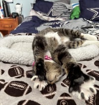 Charlotte* - Photo 4