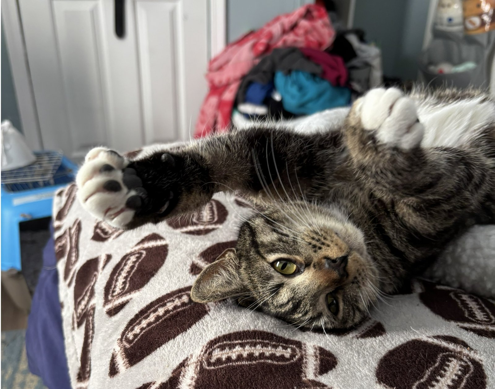 Charlotte* - Photo 3