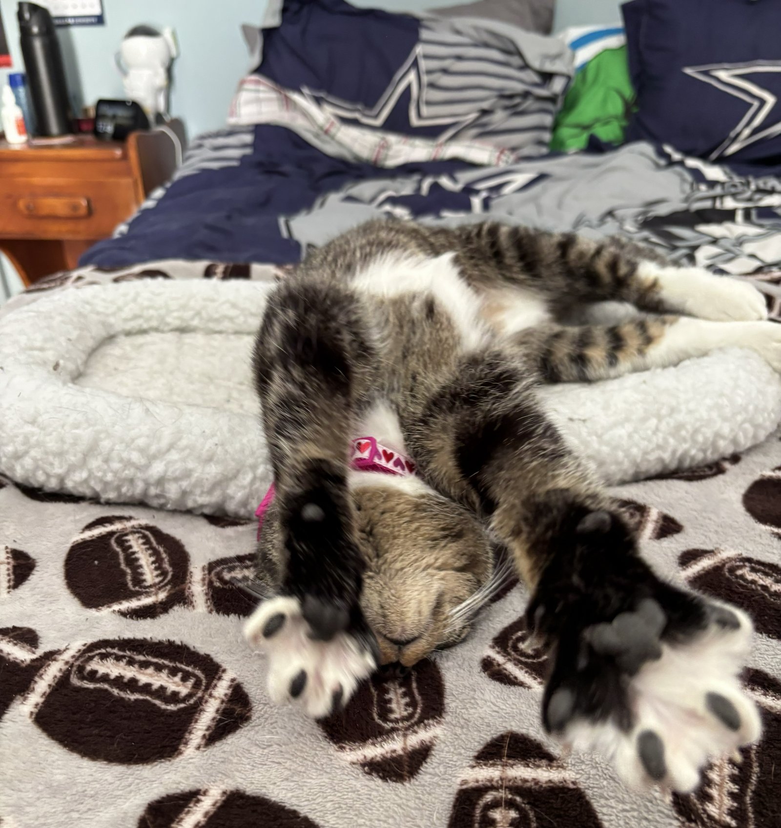 Charlotte* - Photo 4