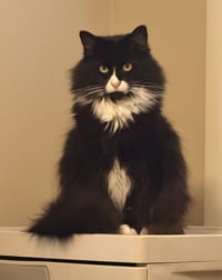 Jilly* - Photo 1