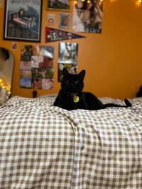 Luna* - Photo 4