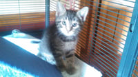 Lilly - Photo 3