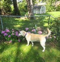 Betty - Photo 2