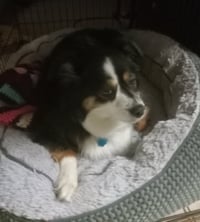 Mia - Photo 3