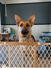 Nora - Photo 2