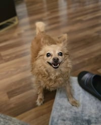 Agnes - Photo 4