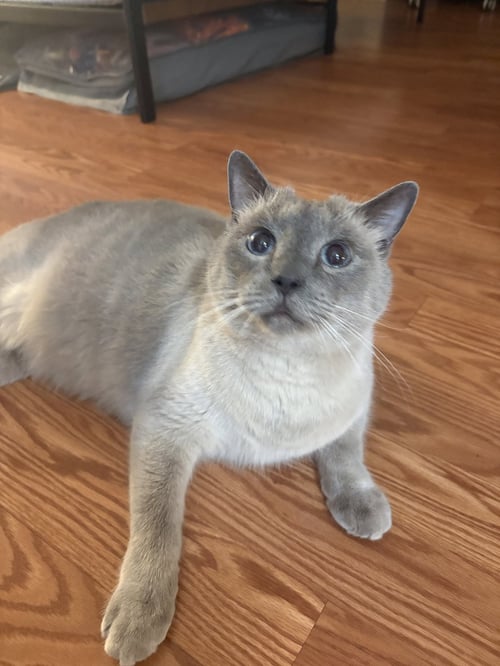 SAMMY