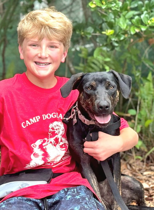 SAOIRSE DOGLANDO GRADUATE FH - Hound / Australian Cattle Dog/Blue Heeler available for adoption