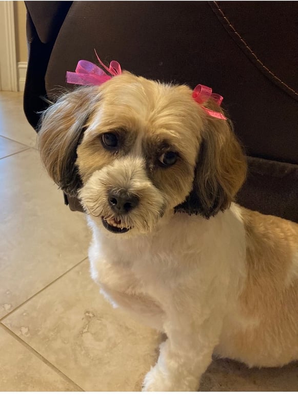 Maggie Image