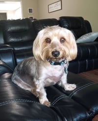 Maggie - Photo 2