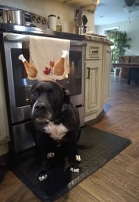 Rosie - Photo 14