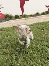 Link FH - Photo 8