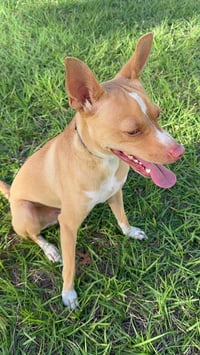 Marley - Photo 4