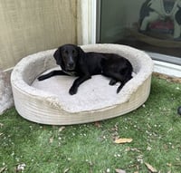 Porter - Photo 1