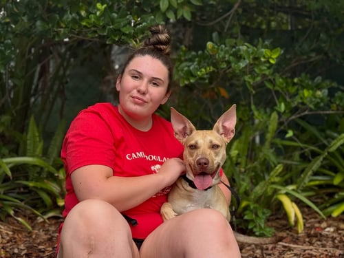 MIDGE DOGLANDO GRADUATE - Corgi / Terrier available for adoption