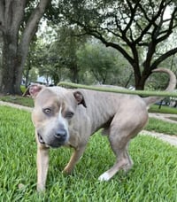 Ralph - TRAINING CAMP - Photo 2