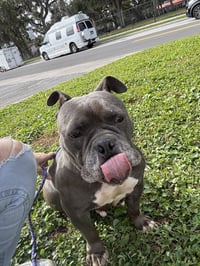 Sasha - Photo 14