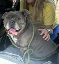 Sasha - Photo 17