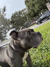 Sasha - Photo 12