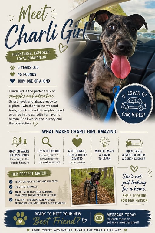 Charli Girl! FH Image