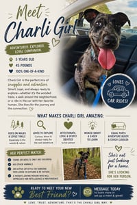 Charli Girl! FH - Photo 1