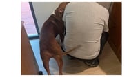 Rocco - Photo 7