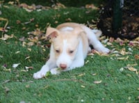Whisper - *Courtesy Listing* - Photo 2