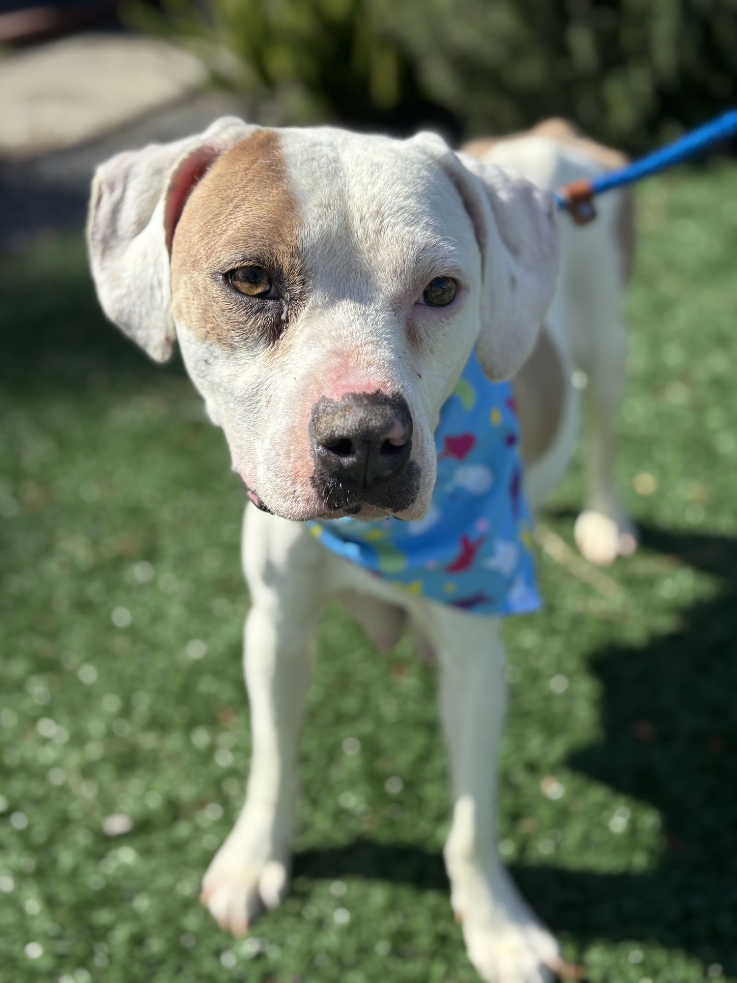 Lilly AKA Mama Queen - Photo 5