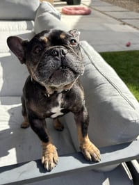 Booker - Photo 6