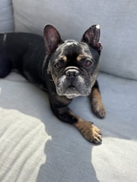 Booker - Photo 4
