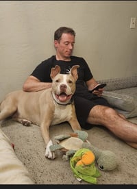 Canelo - *Courtesy Listing* - Photo 3