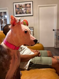 Janie - Photo 14