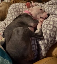 Janie - Photo 15