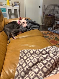 Janie - Photo 11